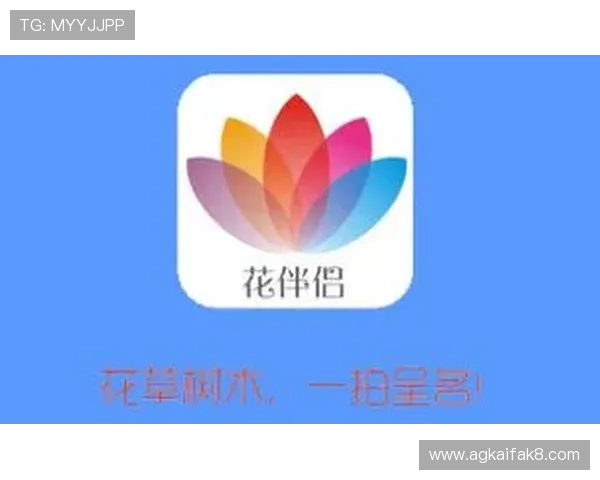 凯发集团下载官网详细操作流程,帮助新手轻松完成软件下载和安装 凯发集团下载官网详细操作流程,帮助新手轻松完成软件下载和安装