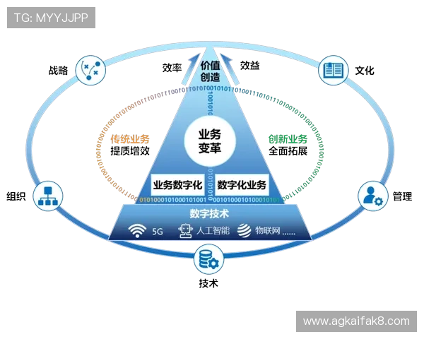 K8手机登录全站登录功能助力企业数字化转型，提升客户服务效率
