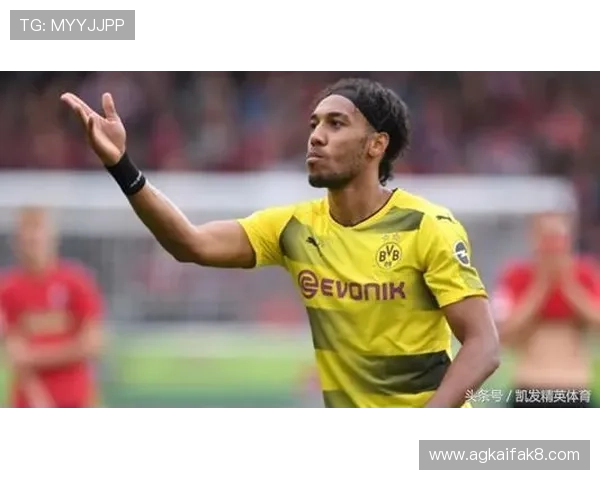 凯发体育官方推出丰富的体育赛事投注选项满足不同玩家需求