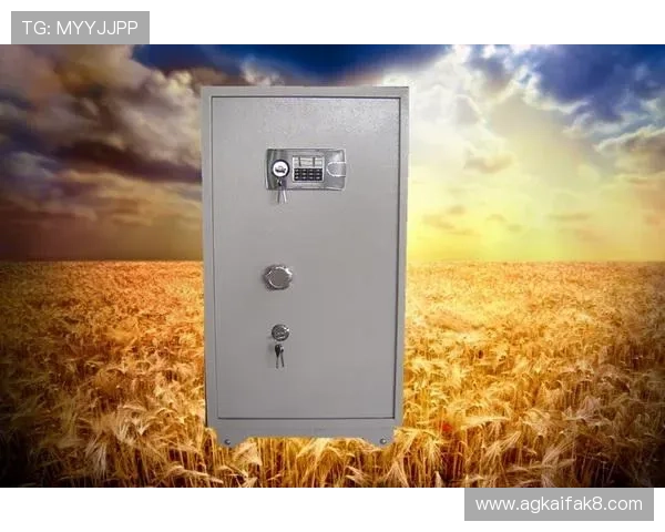 K8凯发的网址最新入口及安全登录指南，确保玩家畅享无忧游戏体验