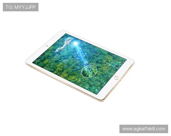 凯发k8一触平台安全保障措施分析确保玩家账号信息安全 凯发k8一触平台安全保障措施分析确保玩家账号信息安全