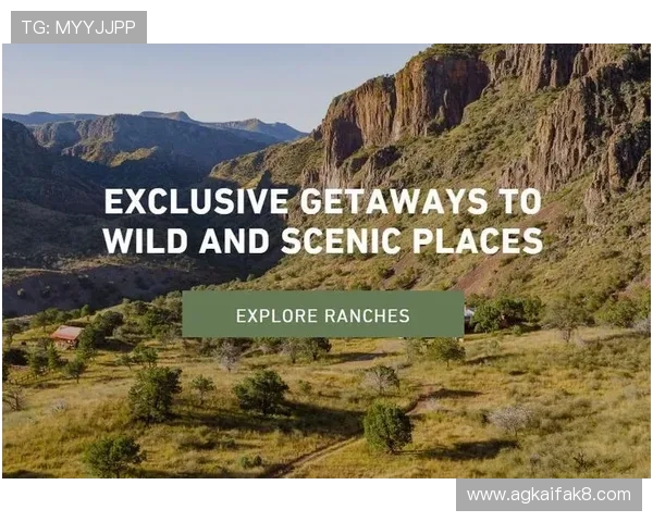 终极德州：高手玩家的实战经验分享与提升技巧指南