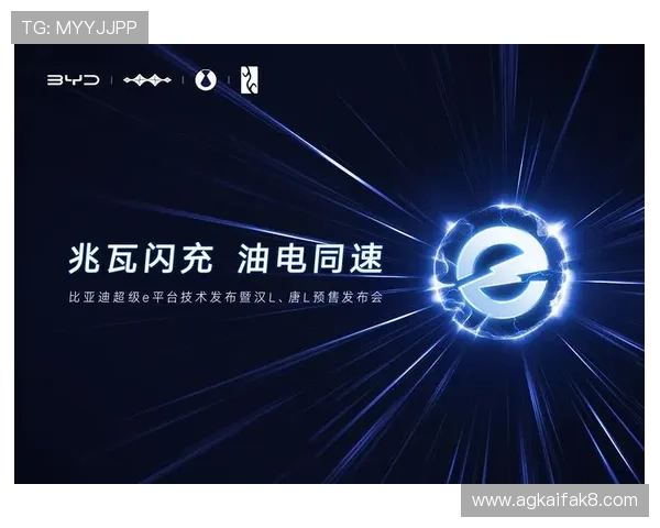 凯发天生赢家一触即发首页最新消息分析游戏版本优化与未来发展方向