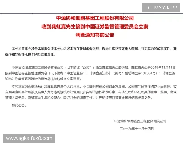 凯发电子娱乐安全保障措施详解,确保每位玩家的资金与个人信息安全无忧