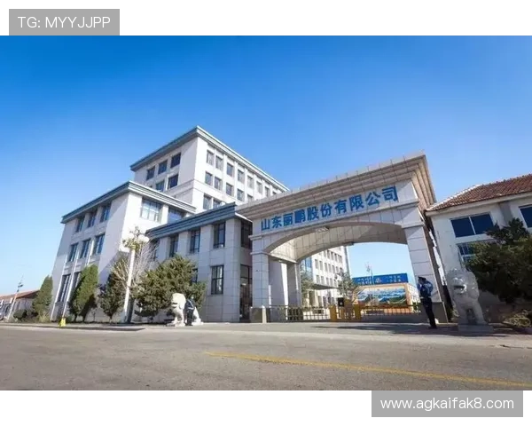 凯发集团简介图片助力企业形象宣传提升品牌影响力的关键资料